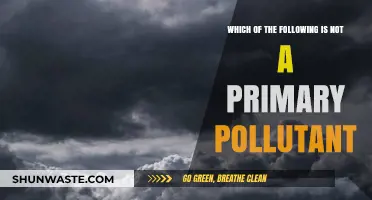 Primary Pollutant: What's Not Included and Why?