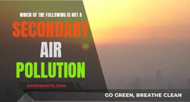 Secondary Air Pollution: What's Not Included?