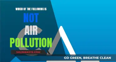 Air Pollution: What's Not Harming Our Planet?