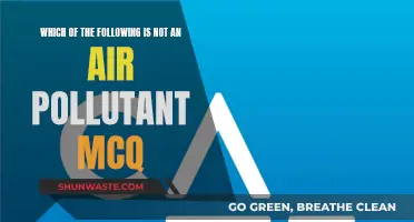 Air Pollutants: Multiple Choice Questions