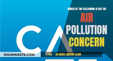 Air Pollution: What's Not a Concern?