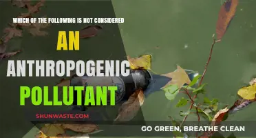 Anthropogenic Pollutants: What's Not on the List?
