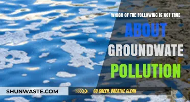Groundwater Pollution: Myths and Misconceptions