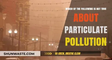 Particulate Pollution: Myths and Misconceptions