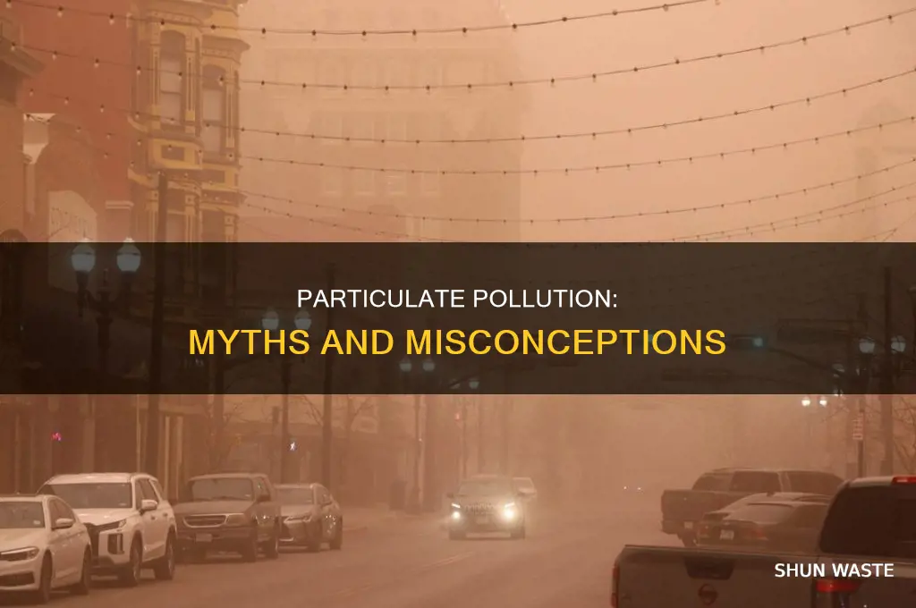 which of the following is not true about particulate pollution