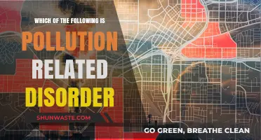 Pollution-Linked Disorders: Understanding the Impact on Health