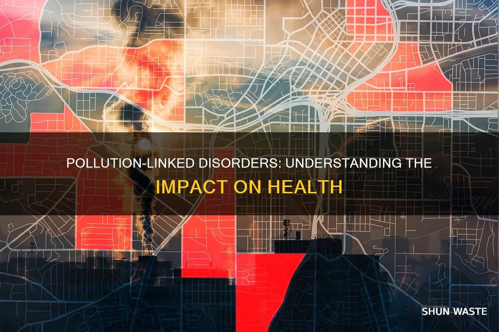 which of the following is pollution related disorder