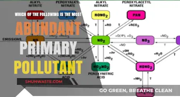 Primary Pollutant Prevalence: Understanding the Most Common Culprit