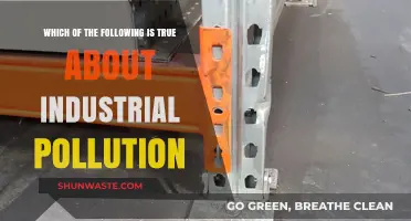 Industrial Pollution: What's the Real Damage?