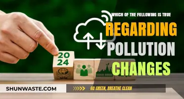 Pollution Changes: What's the Truth?