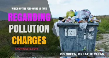 Pollution Charges: Understanding True Environmental Impact Costs