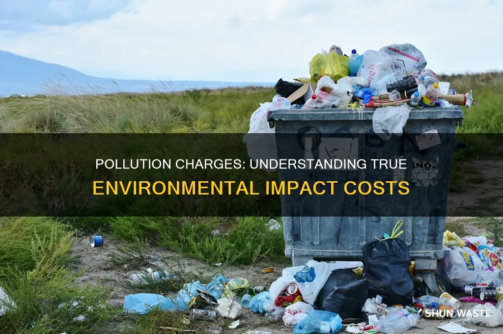which of the following is true regarding pollution charges