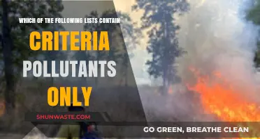 Criteria Pollutants: Which of These Lists is Correct?