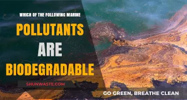Biodegradable Marine Pollutants: What Can Nature Break Down?