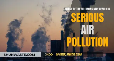Air Pollution: Understanding the Serious Consequences