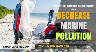 Strategies to Reduce Marine Pollution