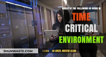 Real-Time Operating Systems: Best OS for Time-Critical Environments Explained