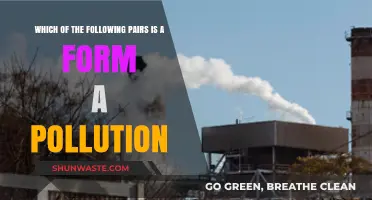 Forms of Pollution: Understanding Environmental Threats