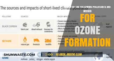 Ozone Formation: Pollutants as Essential Ingredients