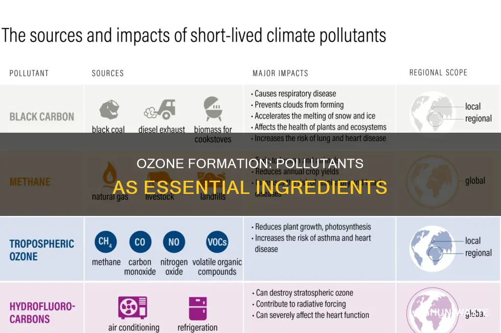 which of the following pollutants are needed for ozone formation