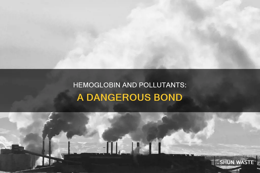 which of the following pollutants bonds with hemoglobin