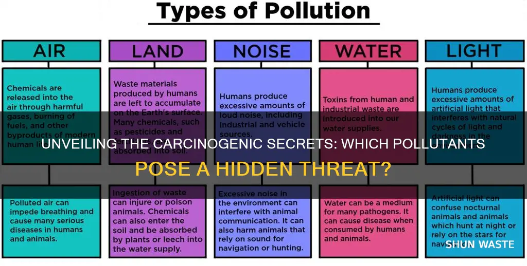 which of the following pollutants can cause cancer