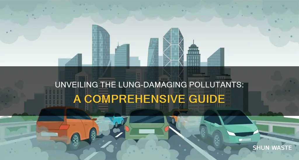 which of the following pollutants can damage lungs