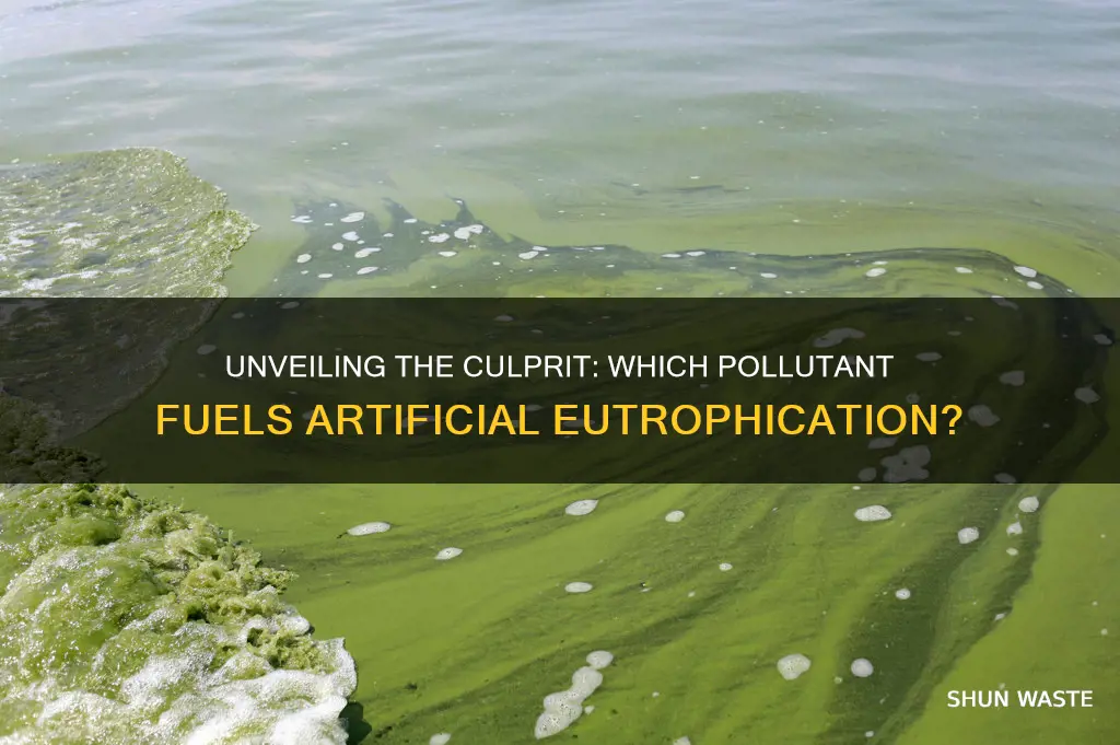 which of the following pollutants causes artificial eutrophication