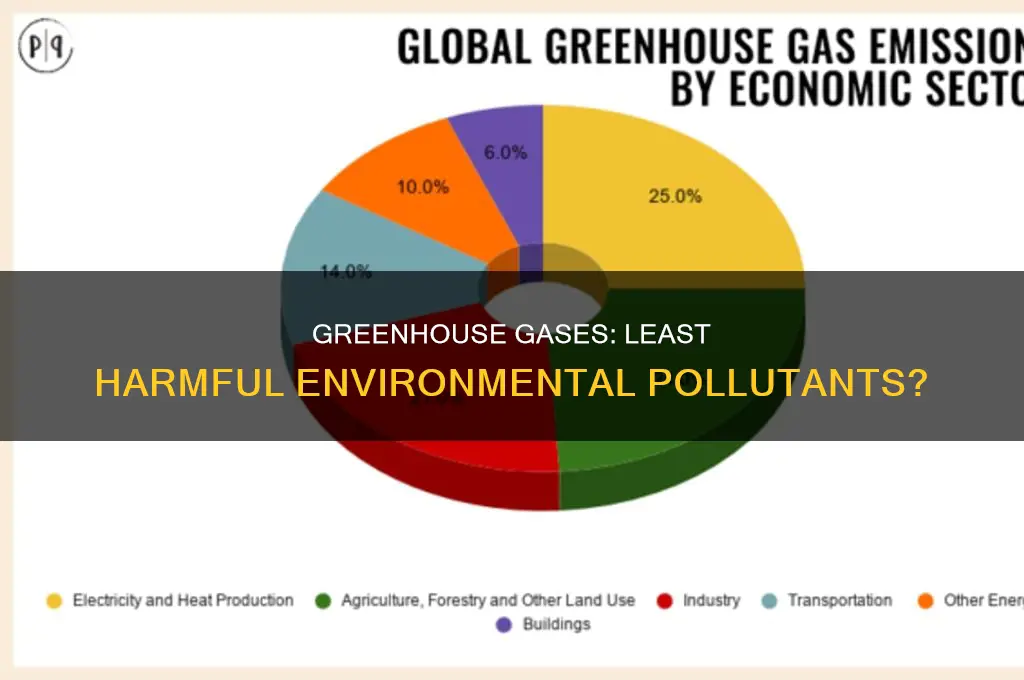 which of the following pollutants has the least environmental effect