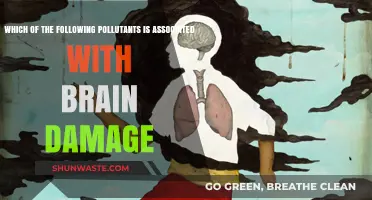 Brain Damage: Pollutants and Their Impact