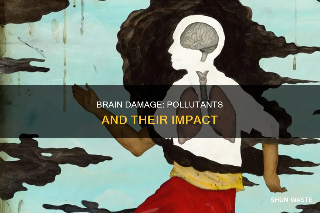 which of the following pollutants is associated with brain damage