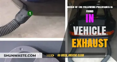 Vehicle Exhaust: What Pollutants Are We Breathing?