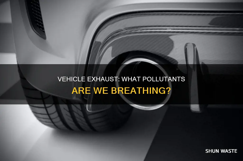 which of the following pollutants is found in vehicle exhaust