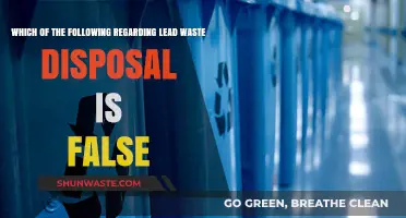 Lead Waste Disposal: Facts and Falsehoods