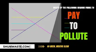 Pollution Permits: Paying to Pollute?