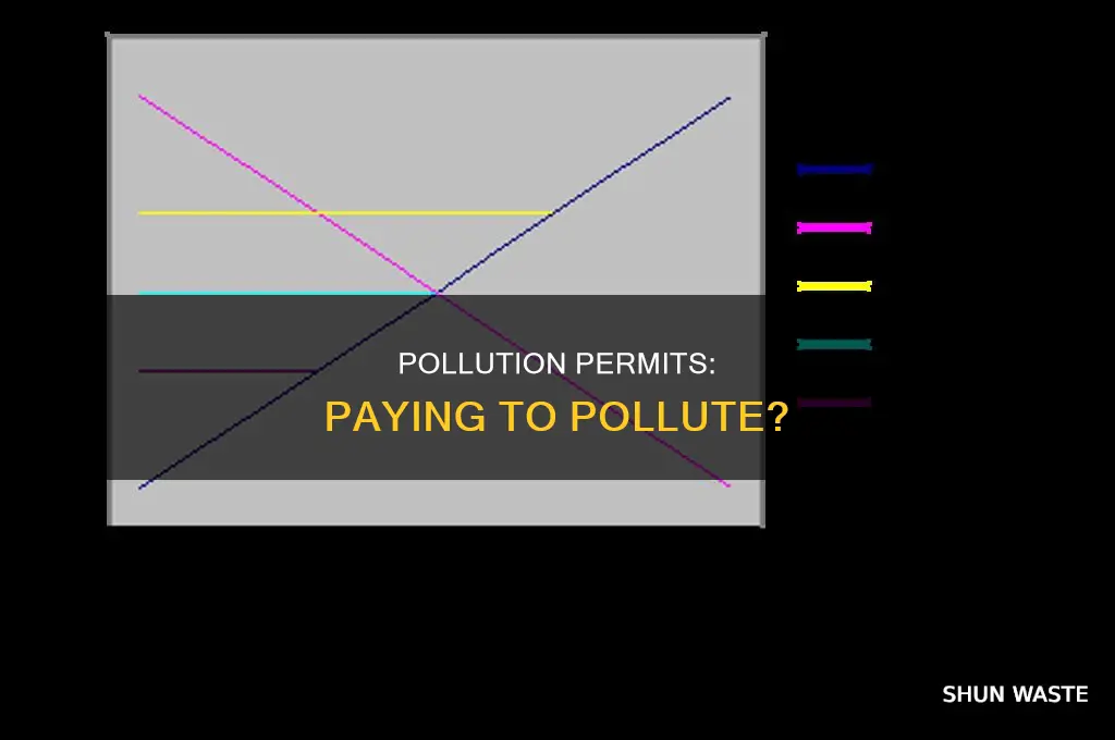 which of the following require firms to pay to pollute