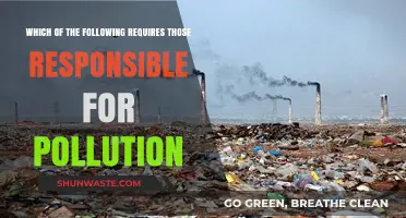 Who Pays for Environmental Damage?