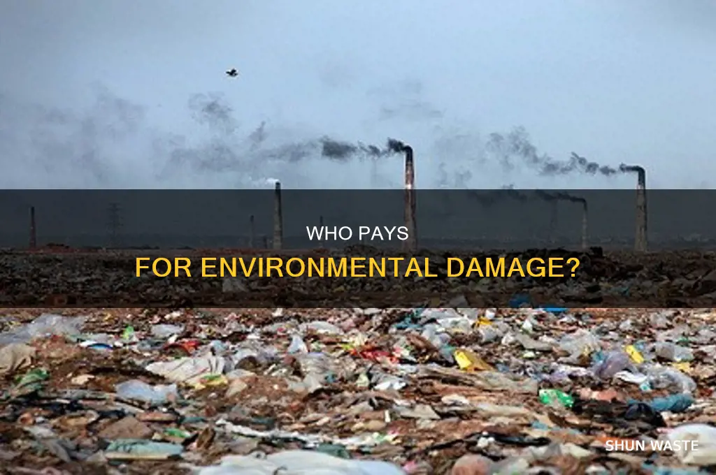 which of the following requires those responsible for pollution