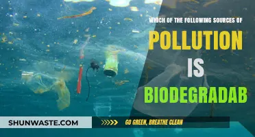 Green Solutions: Biodegradable Pollution Sources
