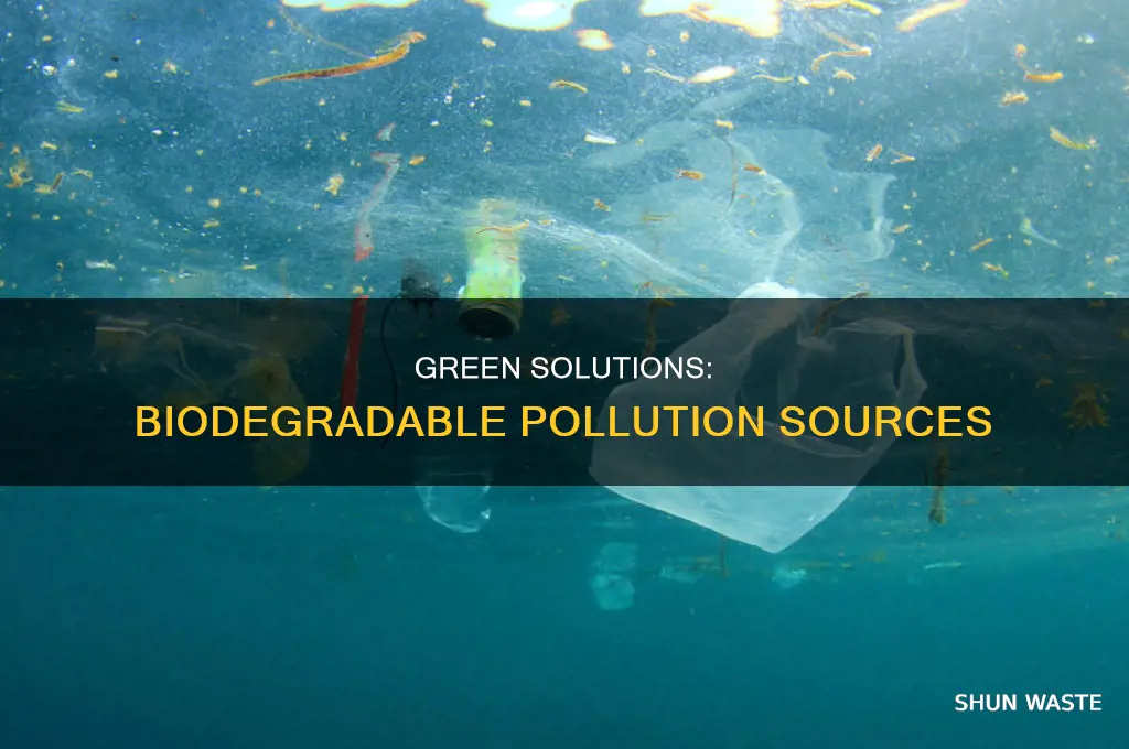 which of the following sources of pollution is biodegradable