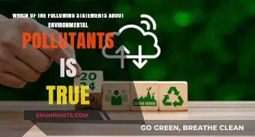 Environmental Pollutants: What's the Truth?