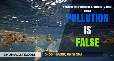 Ocean Pollution: What's the False Claim?