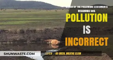 Soil Pollution: Myths and Facts