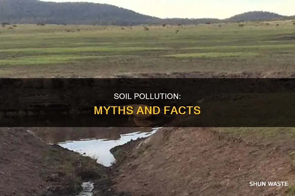 which of the following statements regarding soil pollution is incorrect