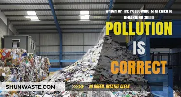 Solid Pollution: Understanding the Correct Statement