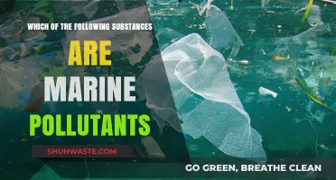 Understanding Marine Pollutants: Which Substances Harm Our Oceans?