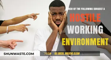 Signs of a Hostile Workplace: Identifying Toxic Behavior and Harassment