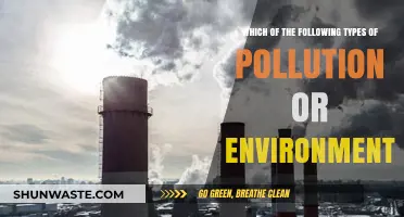 Understanding Environmental Pollution: Types and Impact