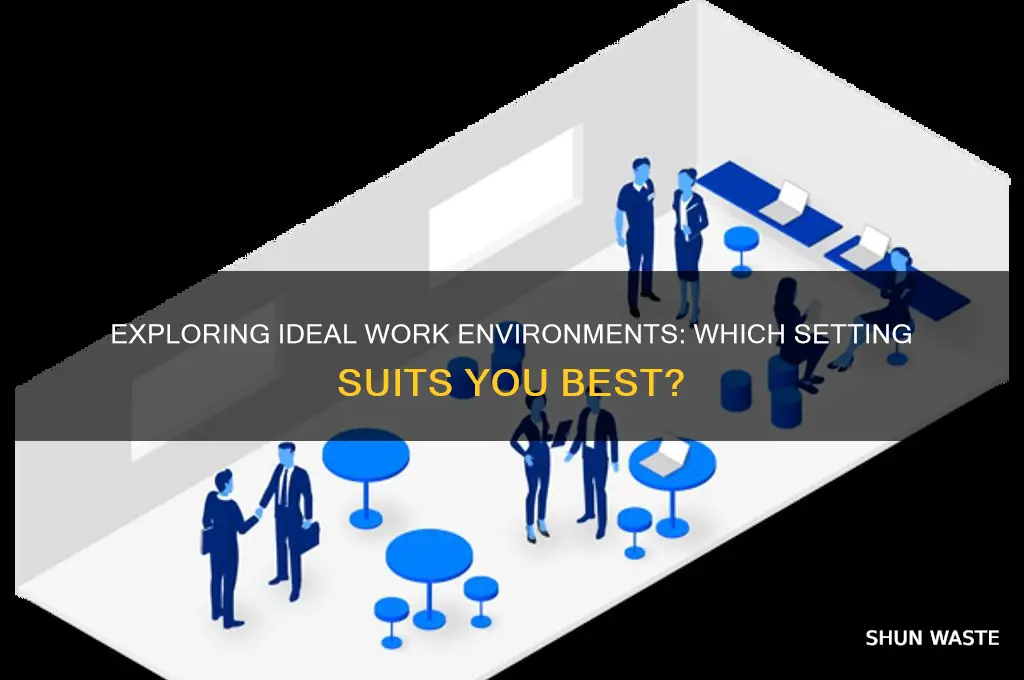 which of the following work environments do you prefer