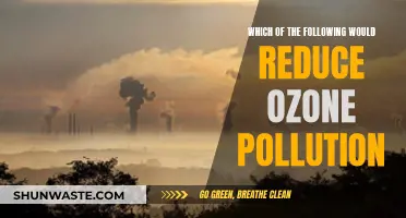 Strategies to Reduce Ozone Pollution: Effective Measures